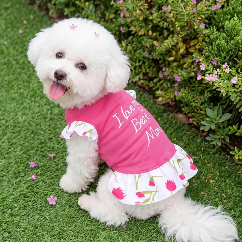 Vista 4 de XPUDAC Paquete de 4 vestidos para perros pequeños, vestidos de flores para perros pequeños, ropa colorida para perros (XXS, 4 flores)