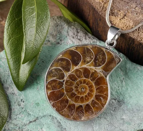 Vista 4 de Gemhub SK-002 - Collar con colgante de caracol de piedra natural de amonita fósil de caracol de plata de ley 925 para mujeres y hombres