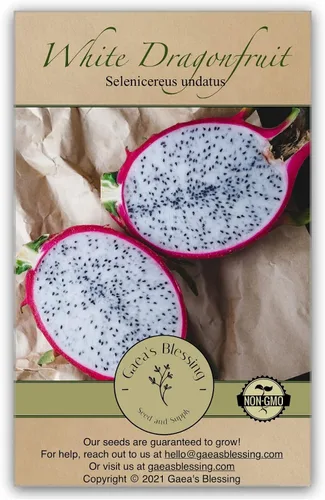 Vista 7 de Gaea's Blessing - Semillas de Dragonfruit (Rojo) - Pitaya - Semillas tradicionales sin OMG con instrucciones de siembra - Sin tratar - Polinizadas
