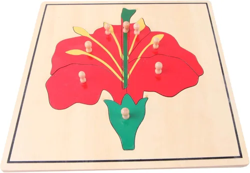 Vista 2 de Adena Montessori Materiales Botánica Puzzle Gabinete (3 rompecabezas incluidos)