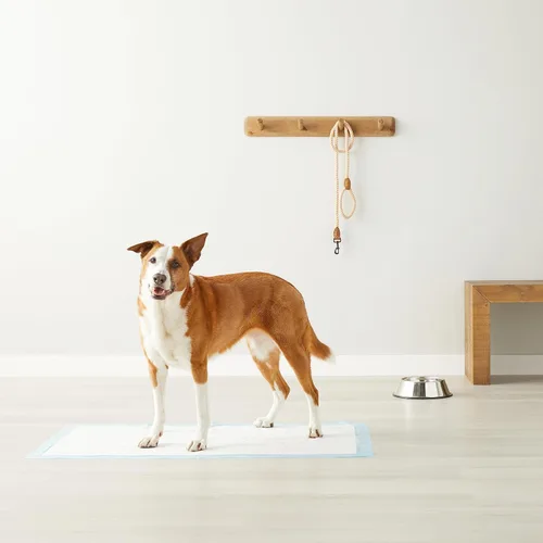 Vista 6 de Amazon Basics - Almohadillas para entrenamiento urinario de perros y cachorros a prueba de fugas con superficie de secado rápido de 5 capas
