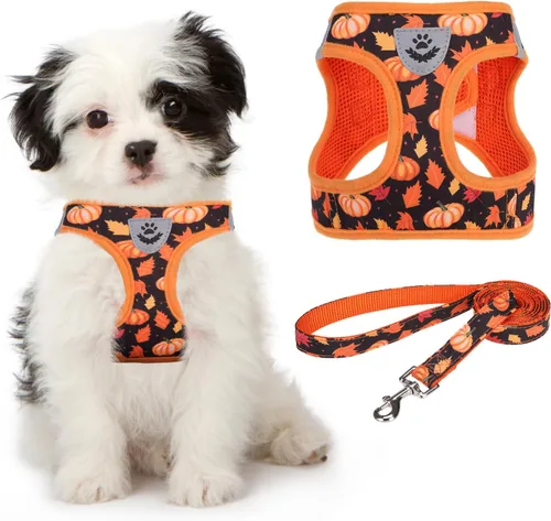 Vista 23 de Arnés de malla suave para cachorros – Juego de arnés y correa para perros pequeños, ajustable y cómodo chaleco reflectante acolchado para cachorros