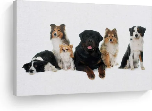 Vista 24 de Diseño de arte de la sonrisa Retrato de lindo Yorkie Yorkshire Terrier perro animal lienzo de pared impresión arte del dueño de mascotas amante