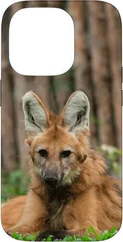 Vista 17 de Funda para iPhone 13 Pro Max Maned Wolf
