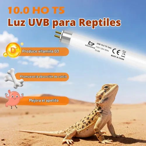 Vista 3 de Bombilla T5 10.0 UVB para reptiles, 8W HO UVB Bombilla de reptil, 2 paquetes de 12 pulgadas UVA UVB Tubo de lámpara fluorescente para dragón barbudo