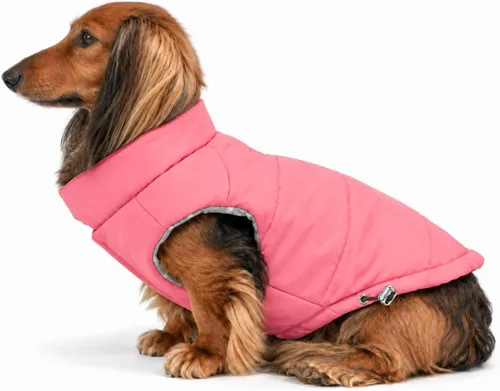 Vista 12 de DJANGO Abrigo de invierno reversible para perros con acolchado – Chaqueta de invierno cálida para perros y abrigo aislante repelente al agua