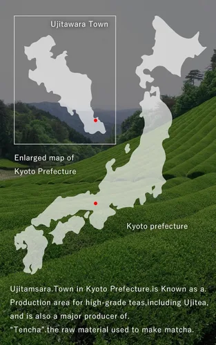 Vista 3 de Kyoto Ujitawara-Seichajyo Uji Matcha Kyo-no-hana Polvo de matcha de grado ceremonial de Kyoto, fabricado en Japón (1.4 oz / 40 g) japonés 64111