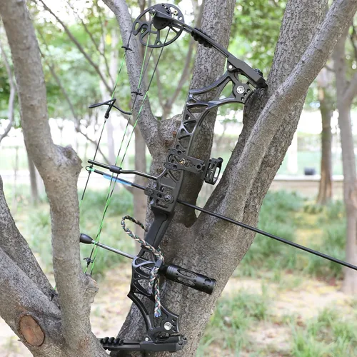 Vista 6 de Kit de arco compuesto de pesca de arco, peso de 30 a 70 libras, ajustable, listo para pescar, con carrete de pesca con arco, flechas de pesca