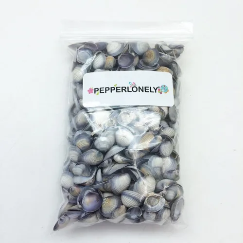 Vista 4 de PEPPERLONELY Pequeñas conchas de almeja violeta, 8 oz aprox. 1/2 pulgada ~ 3/4 pulgadas