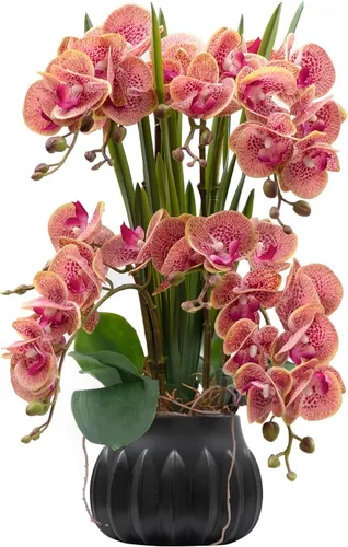 Vista 14 de CXGS Planta de orquídeas artificiales de 20.9 pulgadas, orquídeas artificiales de tacto real en jarrón de cerámica, arreglo floral de Phalaenopsis