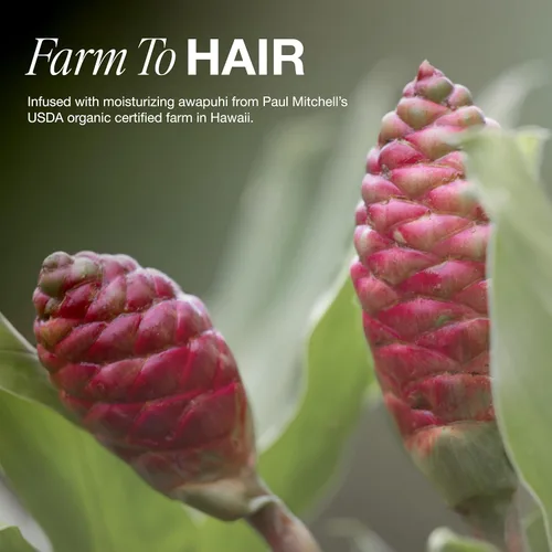 Vista 7 de Paul Mitchell Awapuhi Shampoo, Balances Moisture + Adds Shine, For All Hair Types, Especially Fine + Static-Prone Hair