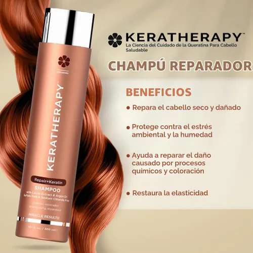 Vista 2 de KERATHERAPY KeratinFIXX Champú reparador con infusión de queratina, 33.8 onzas líquidas, 33.8 fl oz – Champú reparador para cabello seco, dañado