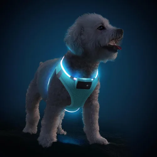 Vista 8 de PceoTllar Arnés para perro con luz LED, reflectante sin tirones, luz intermitente para caminar por la noche, talla S/M, (azul XS)