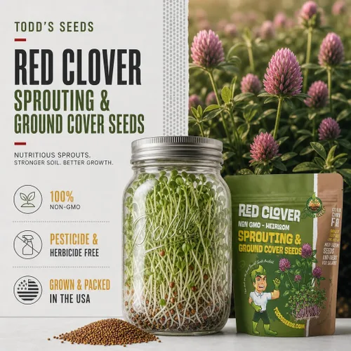 Vista 6 de Todd's Seeds Semillas de trébol rojo, sin OMG, sin químicos, alta germinación (1/2 libra)