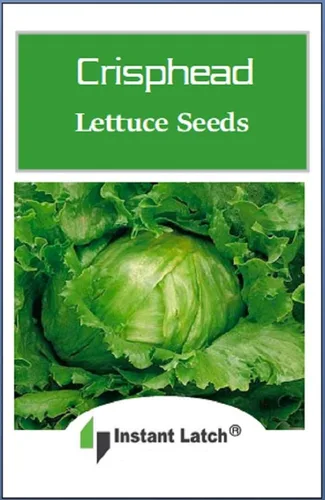 Vista 2 de Semillas de lechuga crujiente para plantar, 500