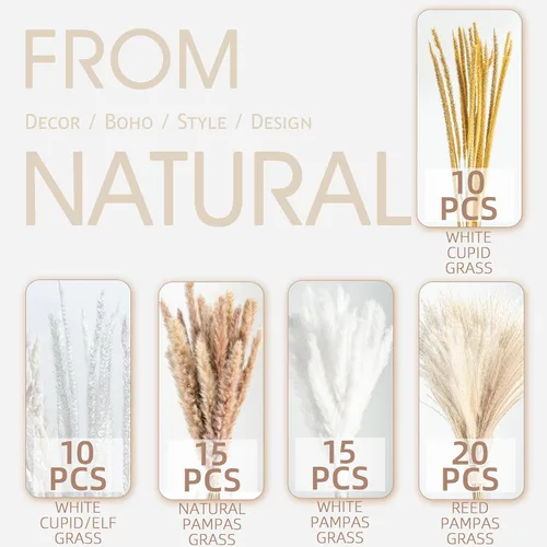 Vista 4 de 70 UNIDADES Hierba de Pampa Seca Natural Estilo Boho para Decoración del Hogar Ramo de Phragmites Flores Secas para Arreglos Florales de Boda