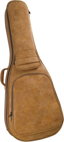 Vista 5 de Guitarra Dreadnought