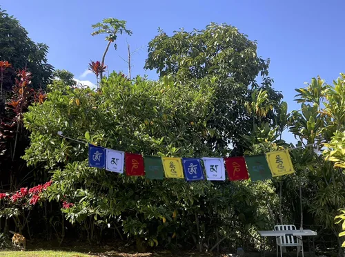 Vista 4 de Mini Buda de la Compasión Om Mani Banderas de Oración de Nepal Juego de 10 Banderas