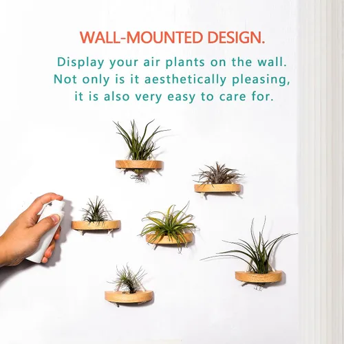 Vista 3 de soporte para plantas de aire, pequeño soporte de exhibición para plantas de aire. Montaje en pared para ahorrar espacio, decoración de pared.
