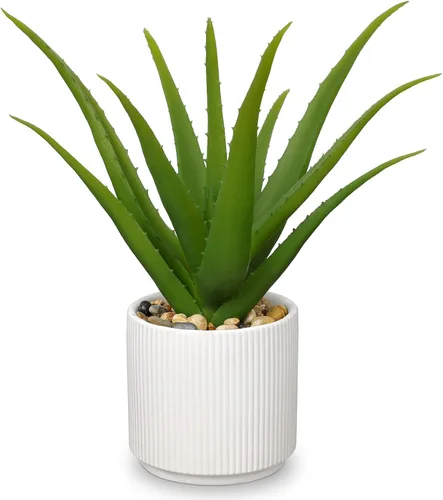 Vista 10 de GnFlus Plantas suculentas falsas de aloe vera de 13 pulgadas, suculentas artificiales grandes con maceta negra, planta de aloe sintético en maceta