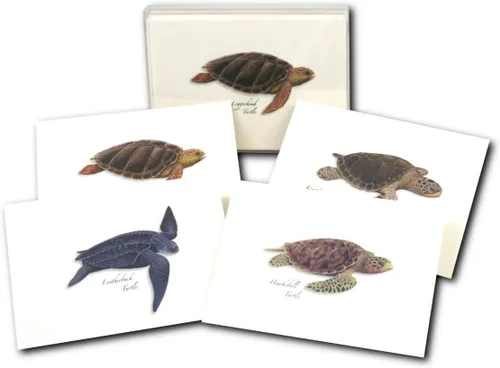 Vista 6 de Earth Sky + Water - Juego de tarjetas de notas surtidas de tortugas marinas - 8 tarjetas en blanco con sobres (2 de cada uno de 4 estilos)