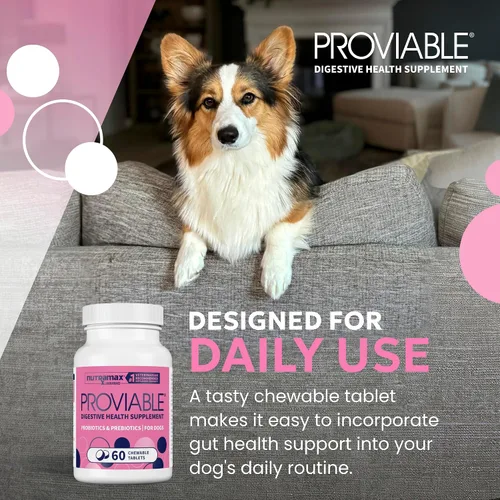 Vista 4 de Nutramax Probióticos Proviable para perros, Suplemento diario de salud digestiva con múltiples cepas de bacterias, probióticos para perros más