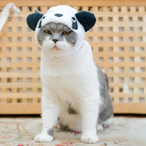 Vista 4 de Gorro de felpa para mascotas, disfraz de perro a la moda, sombrero de punto compatible con panda de Navidad, S