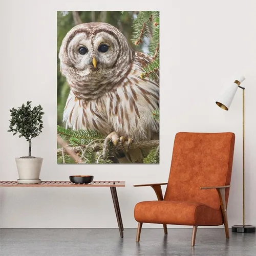 Vista 5 de Póster de lienzo con diseño de búho con diseño de pájaro con diseño de barras, decoración de dormitorio, paisaje deportivo, oficina, habitación
