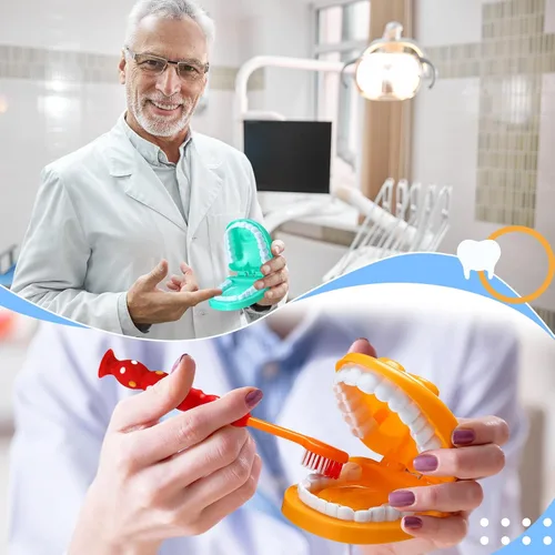 Vista 4 de Skylety Juego de 2 dientes modelo de dentista con cepillo de dientes
