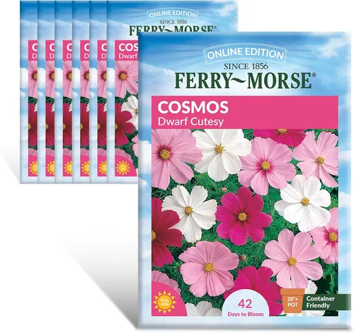 Vista 9 de Ferry-Morse Edición Online Bean Blue Lake Bush 274 Semillas Orgánicas Multipack – Paquete de 8