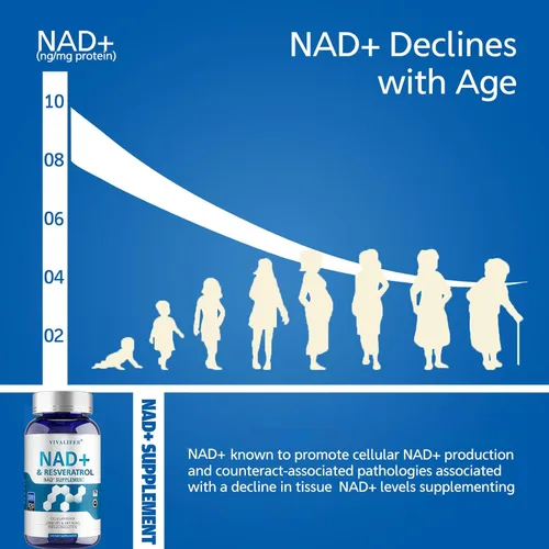 Vista 2 de Suplemento alternativo NMN 1500 mg – 120 cápsulas (suministro para 40 días) NAD+ de alta pureza y resveratrol para anti-envejecimiento, apoyo