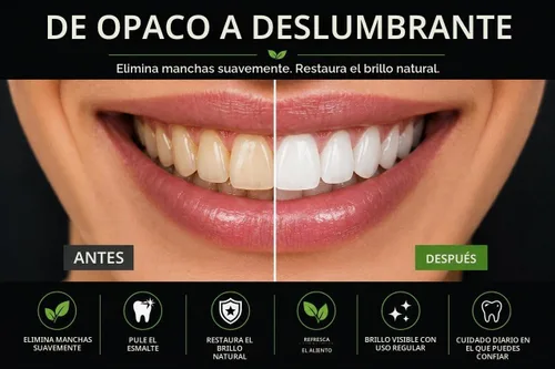 Vista 6 de BENTODENT PASTA DE DIENTES Pasta de dientes blanqueadora de arcilla bentonita y carbón activado - Pasta de dientes blanqueadora natural, sin flúor