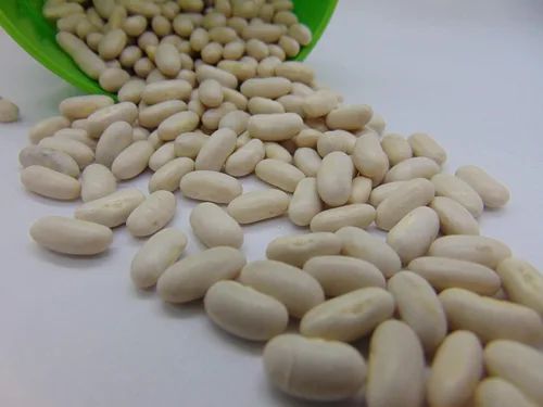 Vista 2 de Kentucky Blue Pole Beans, marca Country Creek Acres, semillas sin OMG, paquete de 100 semillas