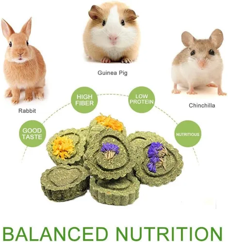 Vista 7 de Bunny Juguetes para masticar dientes, palitos molares de madera de manzana orgánica con círculos de heno de Timothy para conejo, chinchilla, conejo