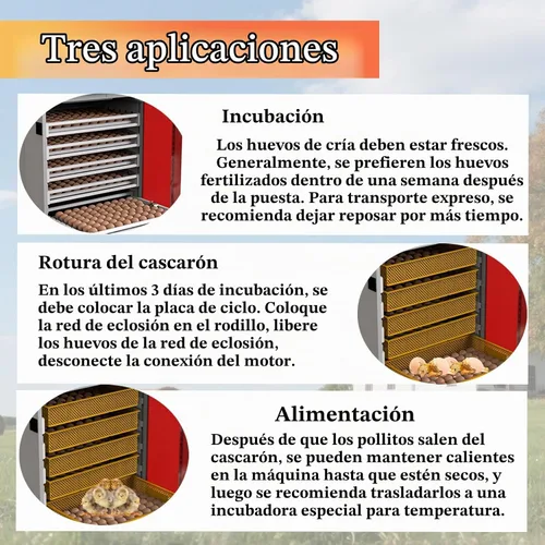 Vista 5 de Incubadora de 400 huevos, incubadora automática para incubar huevos, con giro automático de huevos y control de humedad de temperatura, incubadora