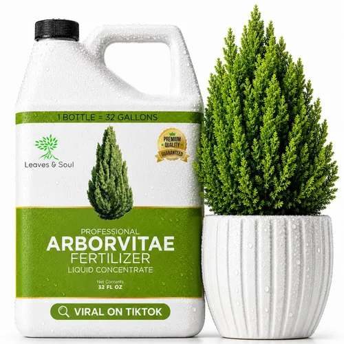 Vista 9 de Leaves & Soul - Líquido fertilizante de árbol de limón, 6-4-6 alimentos Planta de limón