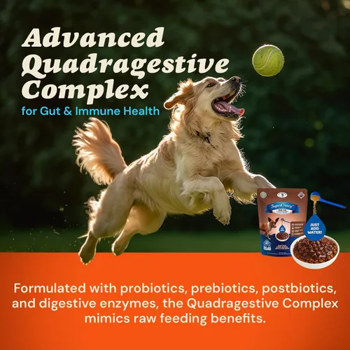 Vista 3 de CLEAR CONSCIENCE PET® Paw Jus™ SuperGravy® - Comida natural para perros, mezcla de caldo de hidratación, condimento para croquetas sin gluten