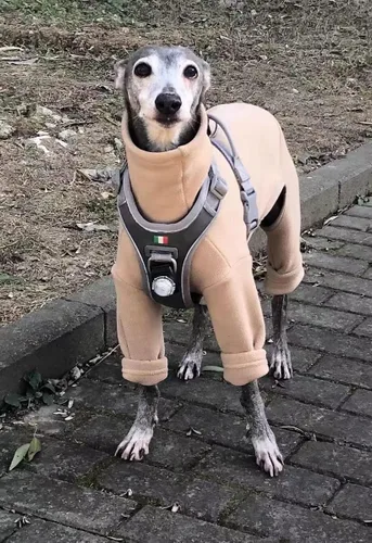 Vista 7 de Greyhound Clothes - Overol de invierno para perro, cálido de cuello alto, overol de cuatro patas, sudadera de manga larga, abrigo al aire libre