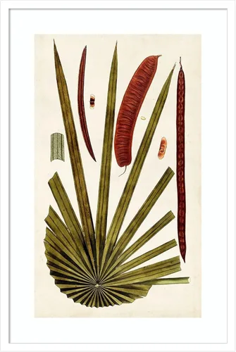 Vista 20 de Amanti Art Vision Studio - Lienzo decorativo para pared, 24 x 17 pulgadas, variedades de hojas VI por Vision Studio, arte de pared de naturaleza