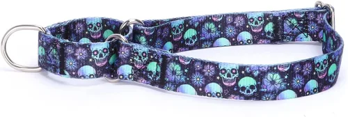 Vista 48 de Collar de perro de nailon resistente, collar ajustable de martingala para perros para caminar y entrenamiento para perros machos y hembras perros