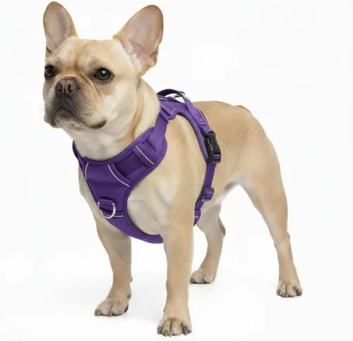 Vista 9 de Arnés sin tirones para perro, con 2 clips para correa, chaleco Oxford reflectante ajustable para mascotas con asa de fácil control para perros Negro