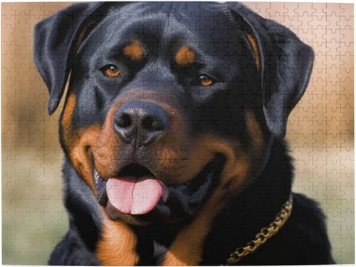 Vista 2 de Rottweiler - Rompecabezas de 500 piezas para perros, rompecabezas personalizados para adultos, rompecabezas de madera, regalo para el hogar, arte
