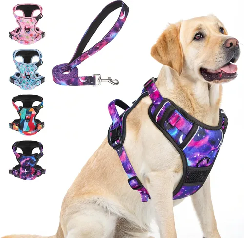 Vista 26 de BEAUTYZOO Arnés para perro sin tirones pequeño, juego de arnés y correa ajustable para perro - Fácil de usar con 3 hebillas/mango de control, arnés