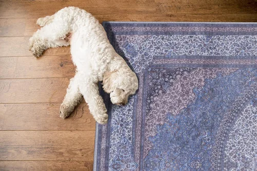 Vista 68 de GLN Rugs Traditional Collection - Alfombra de felpilla lavable a máquina, tradicional lavable, antideslizante, alfombra de felpilla de pelo corto