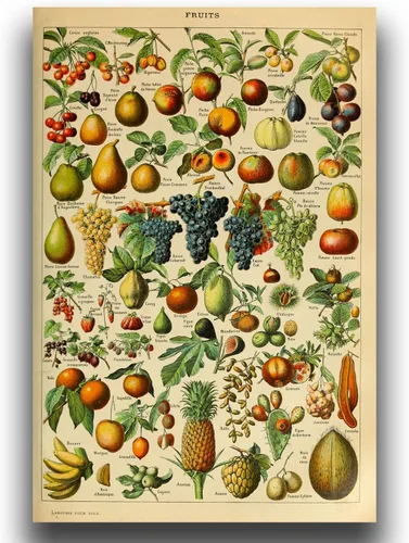 Vista 35 de OKRA Un domingo en La Grande Jatte Póster - Impresión de Georges Seurat - Cuadro de arte impresionista - Pintura al óleo de paisaje naturaleza