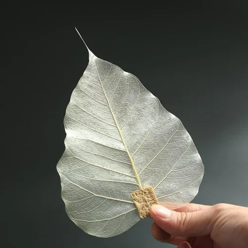 Vista 8 de Accesorios de café Infusor de té en forma de hoja Colador de té Colador de acero inoxidable verde