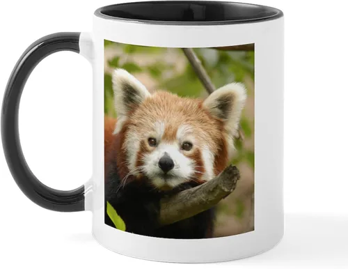 Vista 7 de CafePress Turtle And Panda - Taza de café de cerámica de 11 oz (11.0 fl oz)