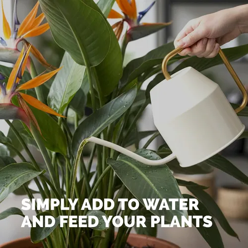 Vista 5 de Bird of Paradise Fertilizer - Alimento líquido para plantas para hojas tropicales más grandes, raíces más fuertes y crecimiento vertical saludable