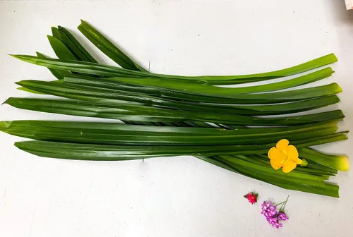 Vista 2 de Hojas de Pandan Frescas - 7 Oz