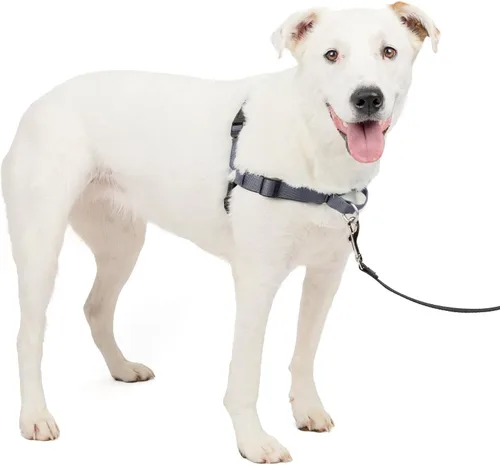 Vista 15 de PetSafe Easy Walk Deluxe Arnés para Perros, Arnés para Perros Sin Tirones – Perfecto para Entrenamiento con Correa y Arnés – Evita que las Mascotas